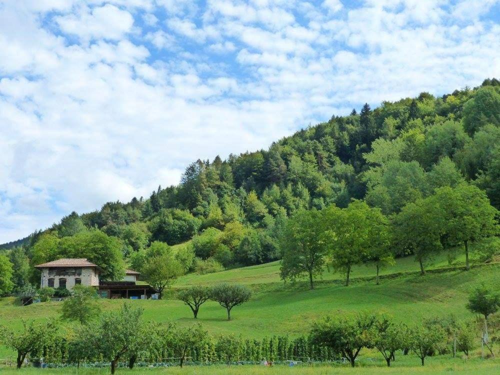 Nido Di Rondine B&B Comano Terme Exterior foto