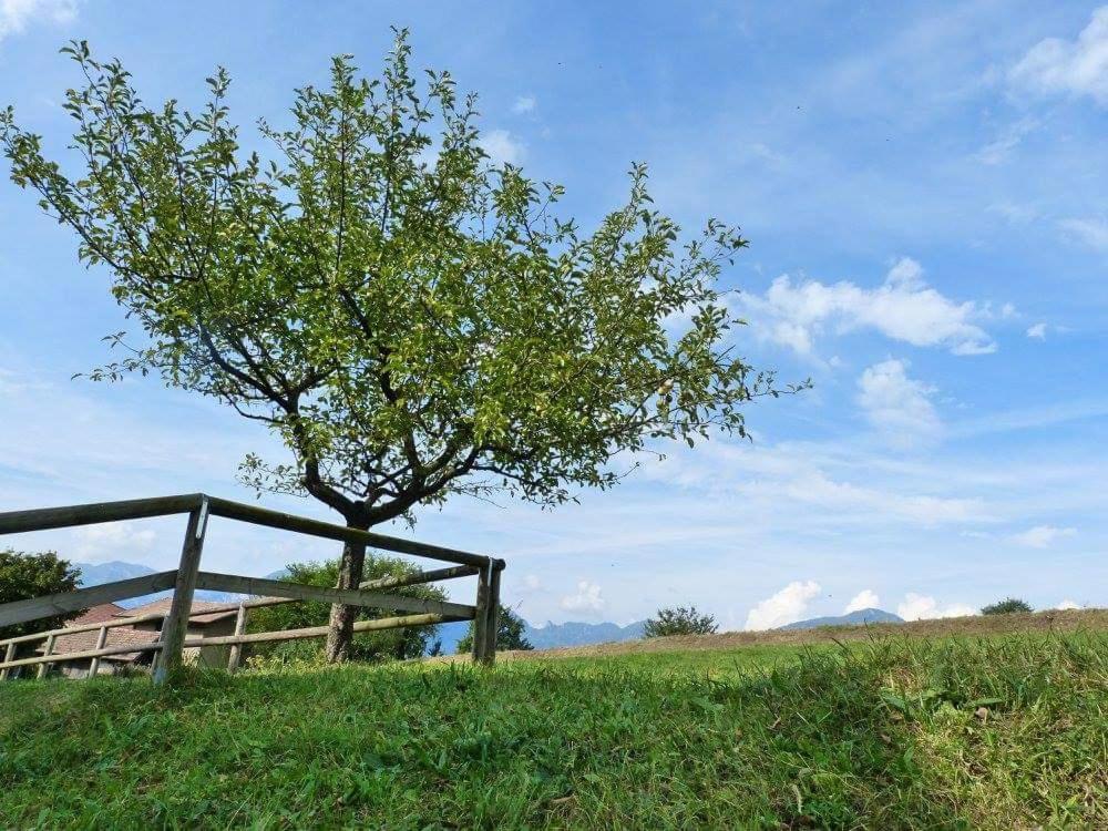 Nido Di Rondine B&B Comano Terme Exterior foto