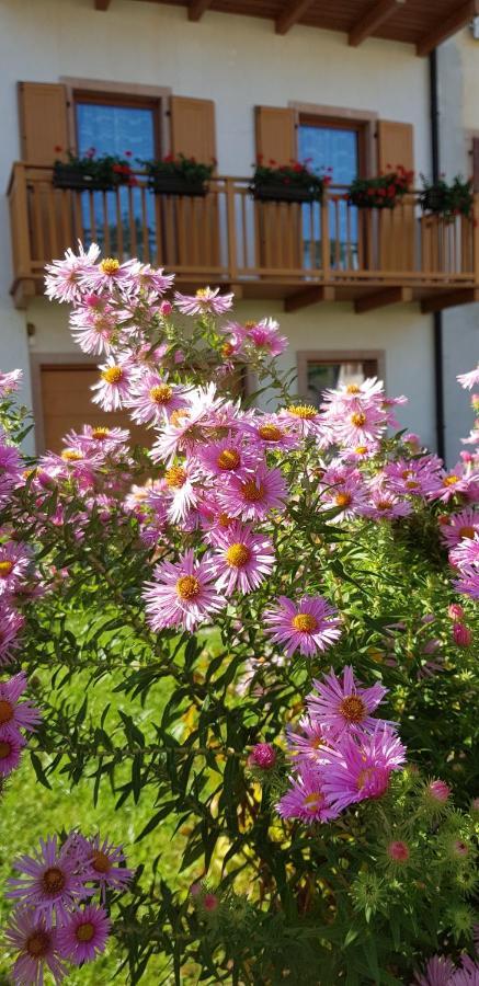 Nido Di Rondine B&B Comano Terme Exterior foto