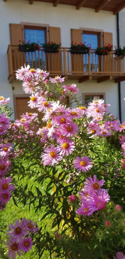 Nido Di Rondine B&B Comano Terme Exterior foto